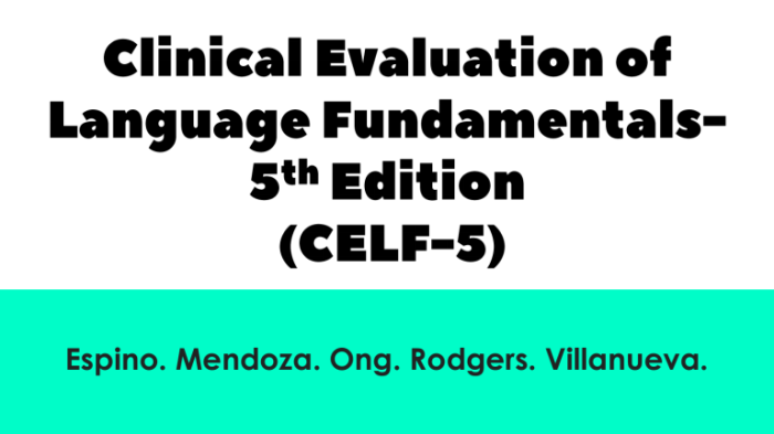 Celf-5 core language subtests 9-21