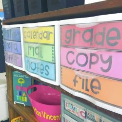 Must haves for first year teachers