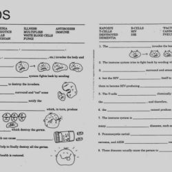 The immune system worksheet answers