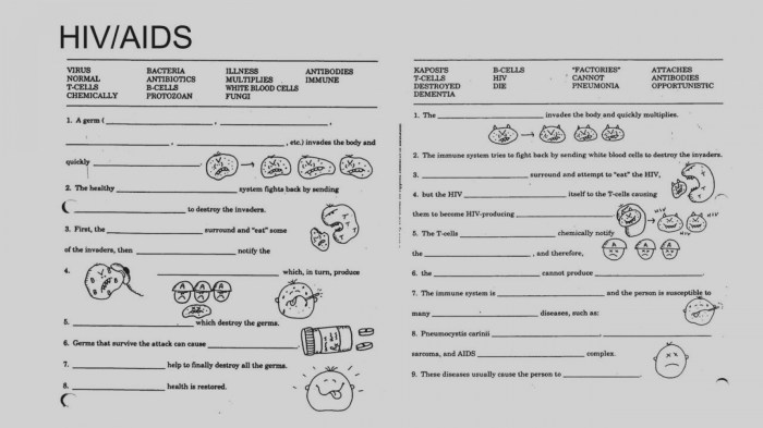 The immune system worksheet answers