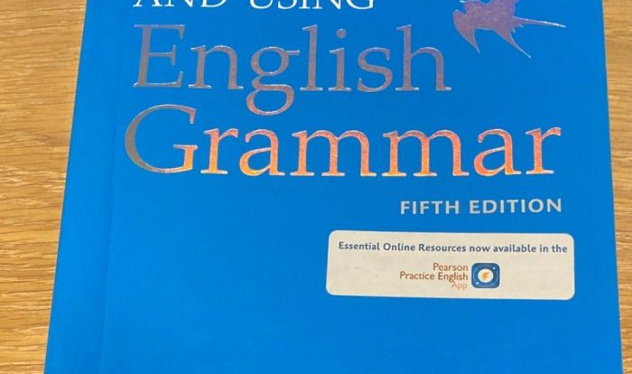 Understanding and using english grammar fifth edition