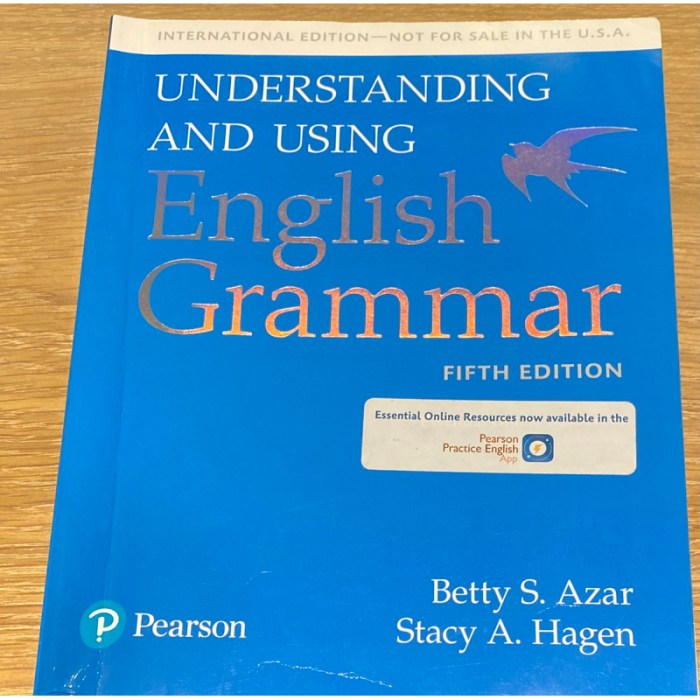 Understanding and using english grammar fifth edition