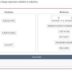 Determine whether each change represents oxidation or reduction.