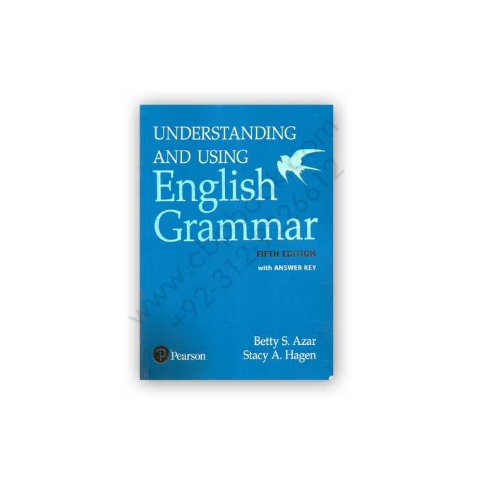 Understanding and using english grammar fifth edition