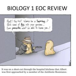 Student review guide biology 1 eoc answers