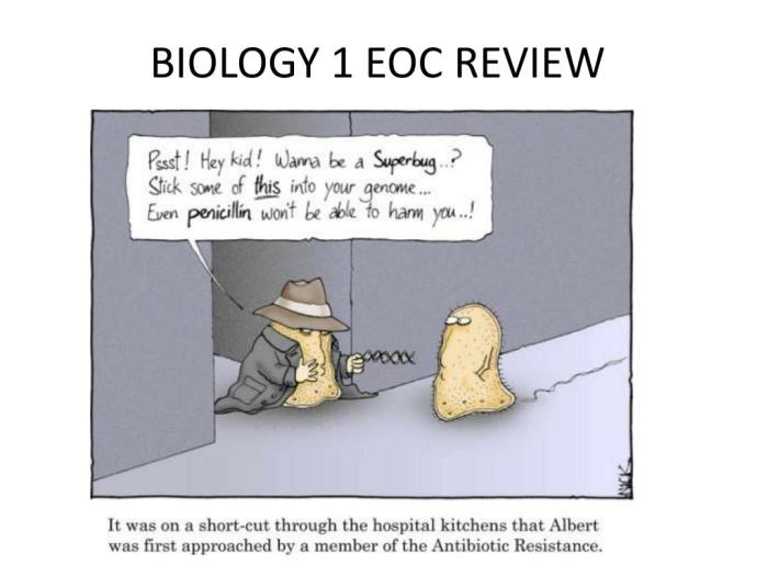 Student review guide biology 1 eoc answers