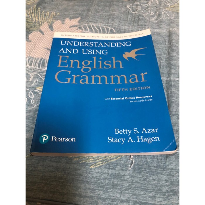 Understanding and using english grammar fifth edition