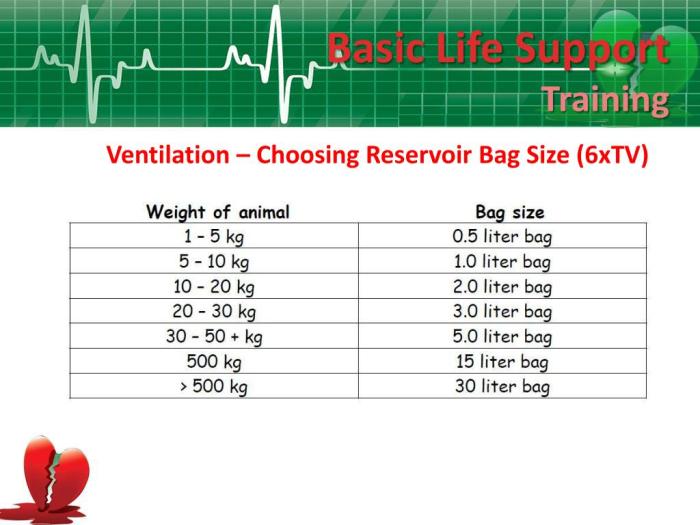 Reservoir rebreathing anesthesia